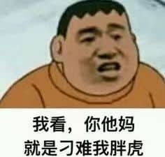 我看 你他妈就是在刁难我胖虎