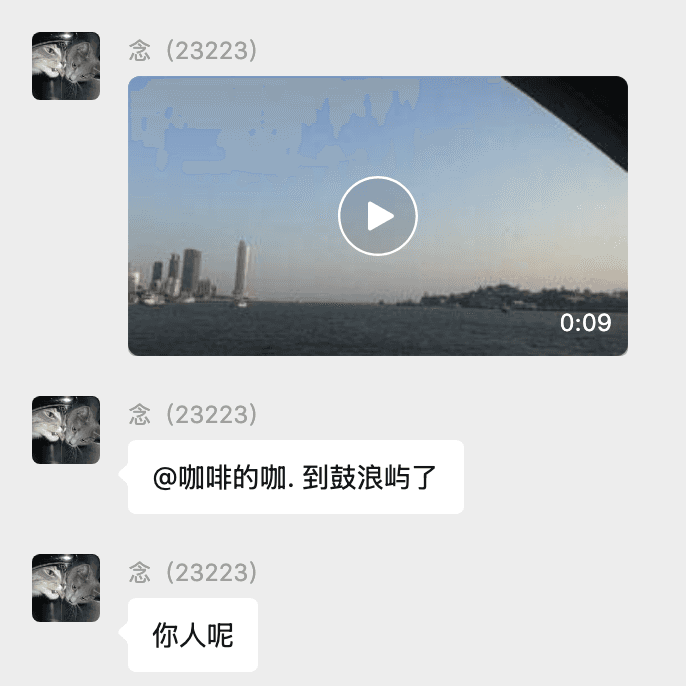 念的到访