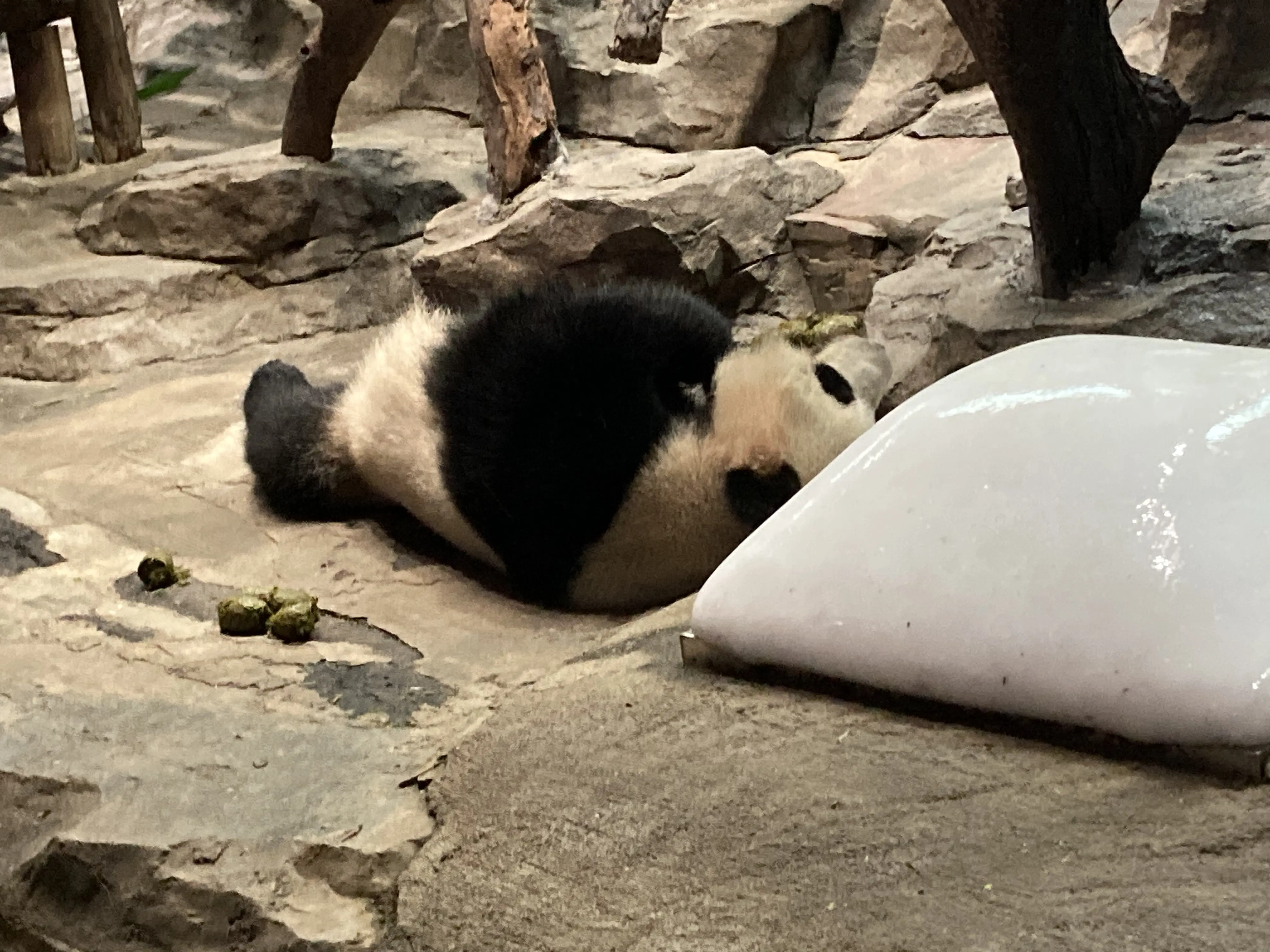 动物园